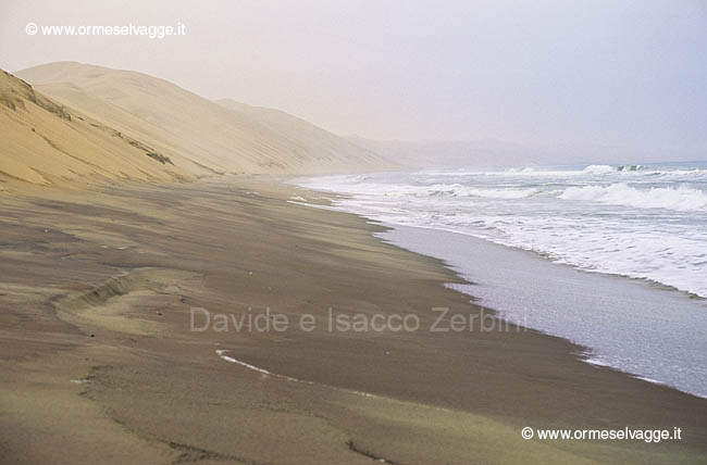 Skeleton coast 53-27-08